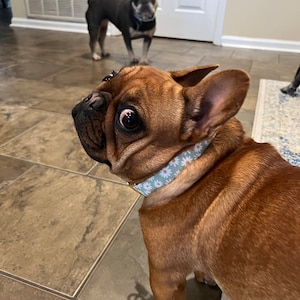Mara added a photo of their purchase