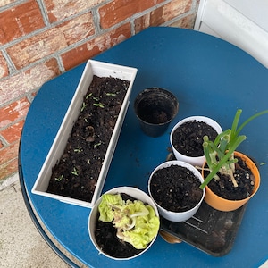 Catty ha añadido una foto de su compra