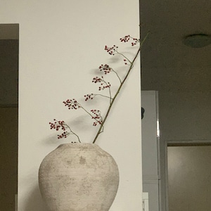 Sabine added a photo of their purchase