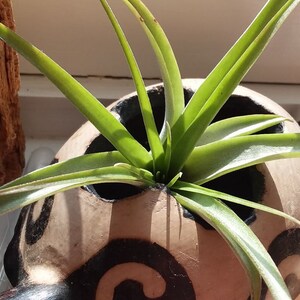 april さんが購入した商品の写真を追加しました