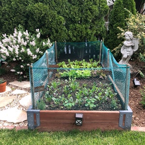 Michele added a photo of their purchase