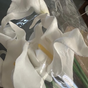 Miss added a photo of their purchase