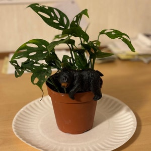 Andy added a photo of their purchase