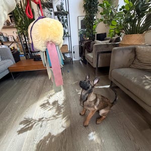 Carrera added a photo of their purchase