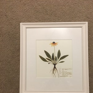 Amy added a photo of their purchase