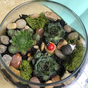Cassandra added a photo of their purchase