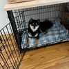 View of Modern Edge Wood Dog Crate Base, Walnut Stain, Safety Lip Secure Fit ...
