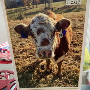 Brittani added a photo of their purchase