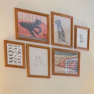 Gabby a ajouté une photo de son achat