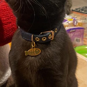 Rachel added a photo of their purchase