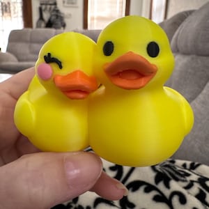 Sarah added a photo of their purchase