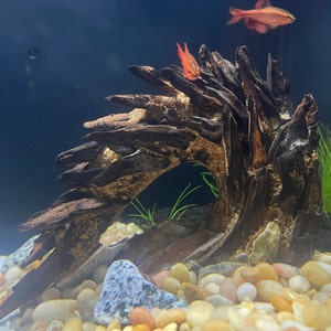 Edgar added a photo of their purchase