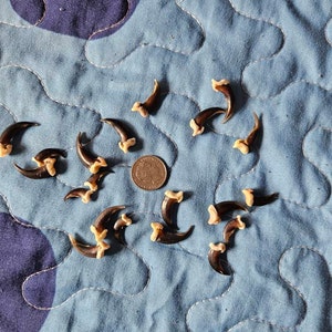 Gabriela added a photo of their purchase