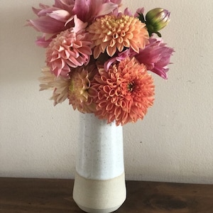 Sally added a photo of their purchase