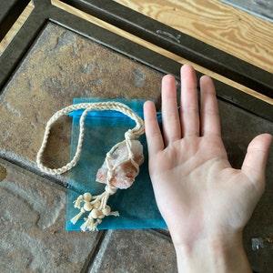 Mackenzie ha añadido una foto de su compra