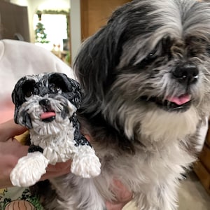 Karen added a photo of their purchase