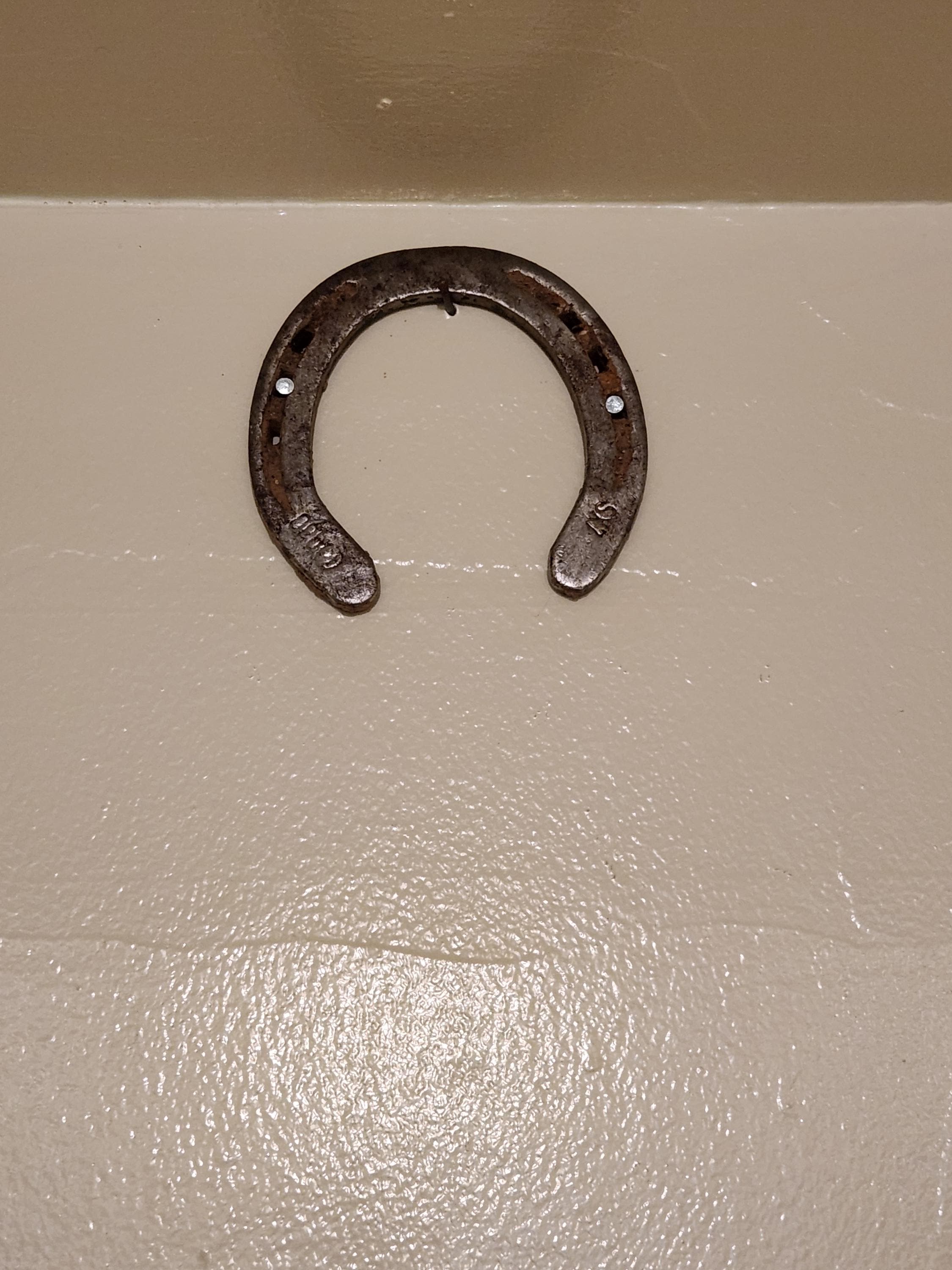 Authentic Used Horse Shoes-Flat Shoes-Assorted sizes-Rusted Shoes-Shiny Shoes-Cowboy Art-Farrier Horseshoes-Western Decor