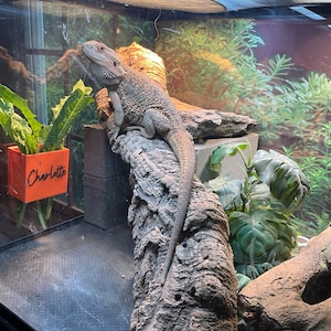 Maria added a photo of their purchase