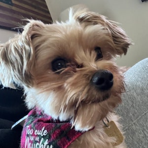 Cindy added a photo of their purchase