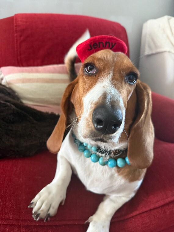 Customer photo of a pet with the Beret Personalized for small pet Raspberry