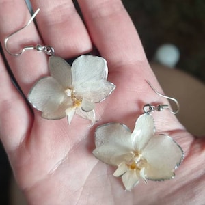 Rasa added a photo of their purchase