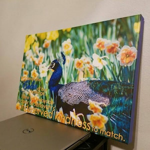 Alyssa added a photo of their purchase