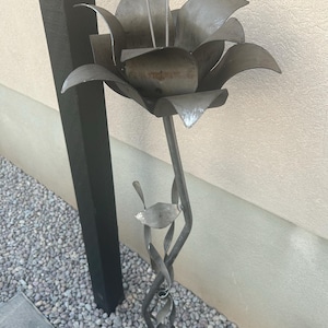 Tina added a photo of their purchase