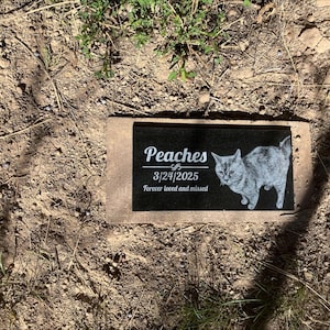 David added a photo of their purchase