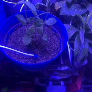 Billy added a photo of their purchase