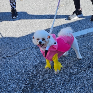 Susan added a photo of their purchase
