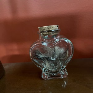 Angelina added a photo of their purchase