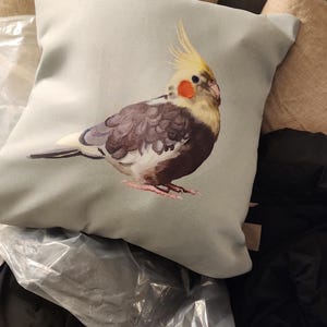 Rachel added a photo of their purchase