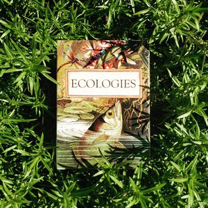 Ecologies Card Game Gameplay Inspired by Nature Use | Etsy