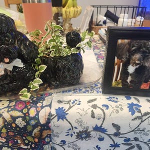 Debi added a photo of their purchase