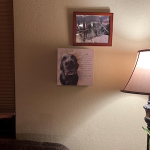 Michele added a photo of their purchase