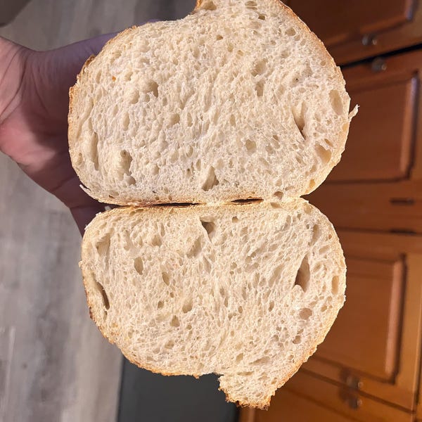 Organic Dehydrated Sourdough Starter Sourdough Bread Making for ...