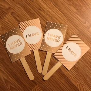 Never Have I Ever Party Paddles Blush Pink & Gold - Etsy