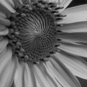 Katie added a photo of their purchase