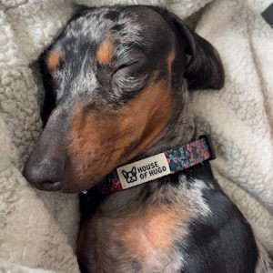 Nikki ha añadido una foto de su compra