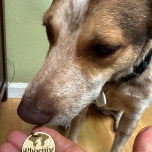 Holly added a photo of their purchase