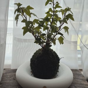 Graycloud added a photo of their purchase