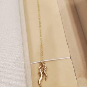 Kelsey added a photo of their purchase