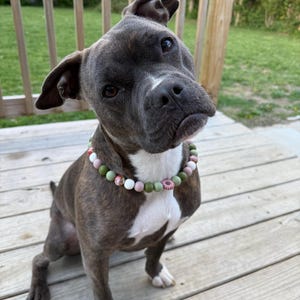 savannah added a photo of their purchase