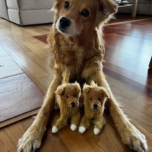 Sina ha añadido una foto de su compra