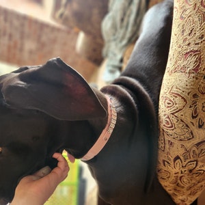 Rebecca added a photo of their purchase