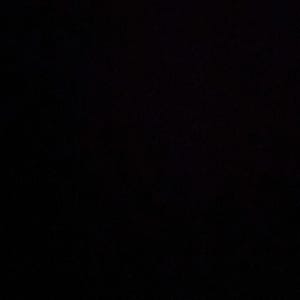 Demarlo added a photo of their purchase