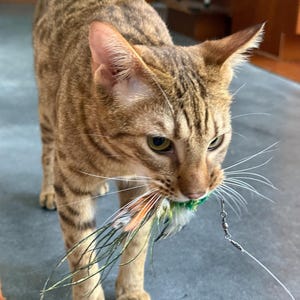 aleksi added a photo of their purchase