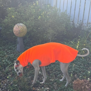 Andrea added a photo of their purchase