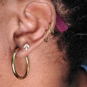 Ohrringe Creolen Aus 925 Sterling Silber – Hypoallergen, 19x19 Mm, In Silber, Rosegold & Gold, Mit Geschenkbox