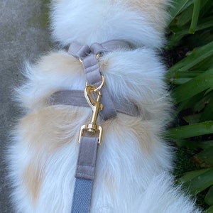 Clay - Velvet Dog Harness